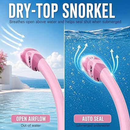 WATERTIME Snorkeling Gear for Adults, Dry Top Snorkel Set with Anti-Fog Panoramic Diving Mask & Waterproof Design, Adult Snorkel Mask for Snorkeling and Scuba Diving